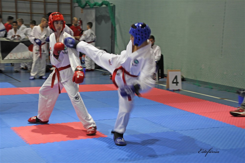 Copa Seul 2018 (530).jpg